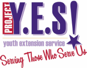 Project Youth Extension Service